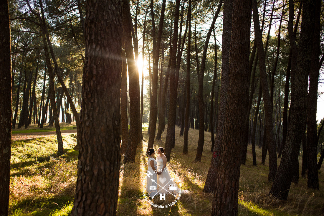 posboda - hervas- marilo - paloma 03