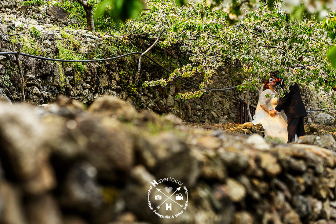 posboda - cerezo - flor - maribel - miguel -angel 12