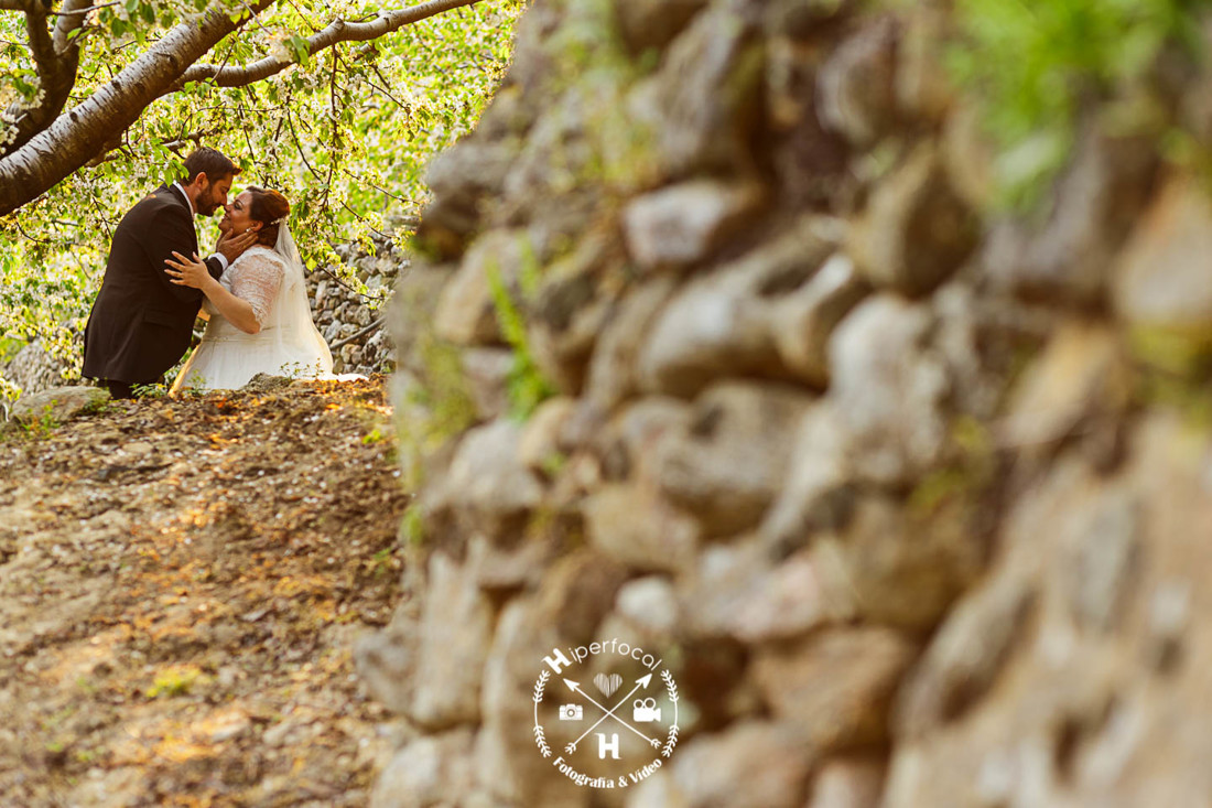 posboda - cerezo - flor - maribel - miguel -angel 14