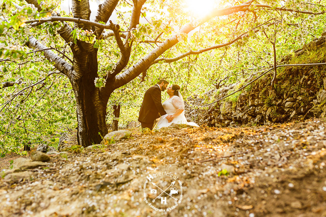 posboda - cerezo - flor - maribel - miguel -angel 15