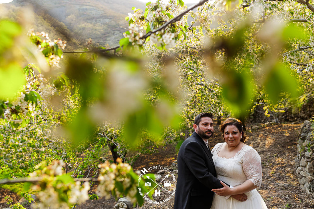 posboda - cerezo - flor - maribel - miguel -angel 03
