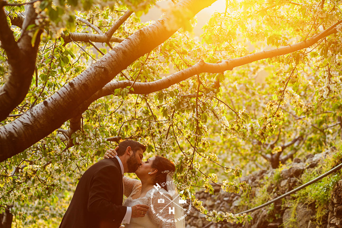 posboda - cerezo - flor - maribel - miguel -angel 16