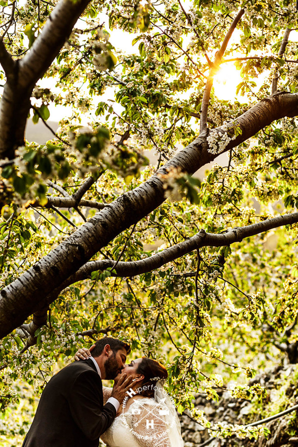 posboda - cerezo - flor - maribel - miguel -angel 17