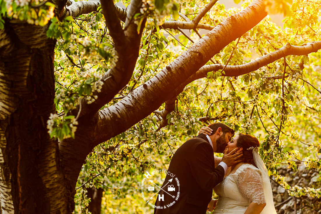 posboda - cerezo - flor - maribel - miguel -angel 18
