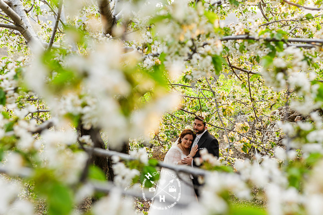posboda - cerezo - flor - maribel - miguel -angel 19