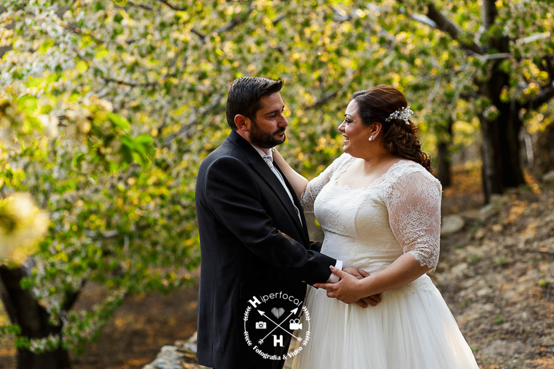 posboda - cerezo - flor - maribel - miguel -angel 02