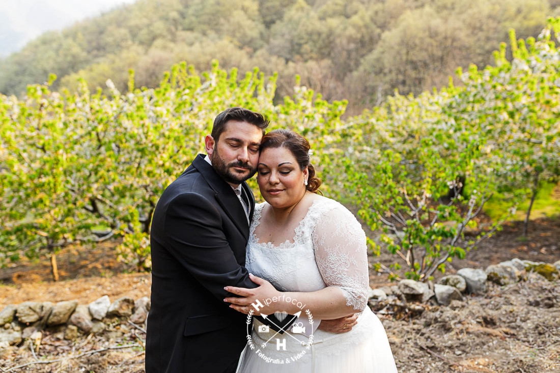 posboda - cerezo - flor - maribel - miguel -angel 04