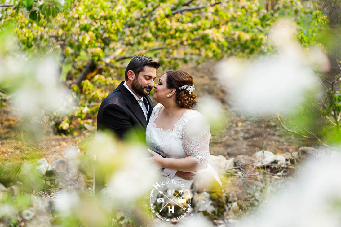 posboda - cerezo - flor - maribel - miguel -angel 05
