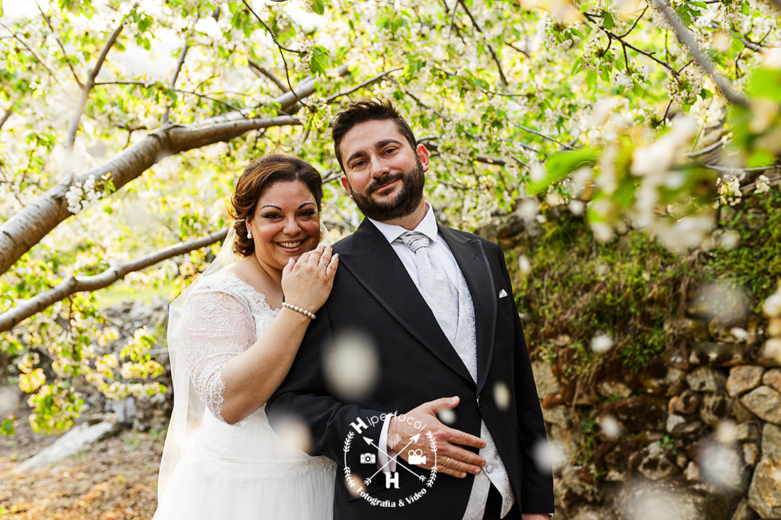 posboda - cerezo - flor - maribel - miguel -angel 09