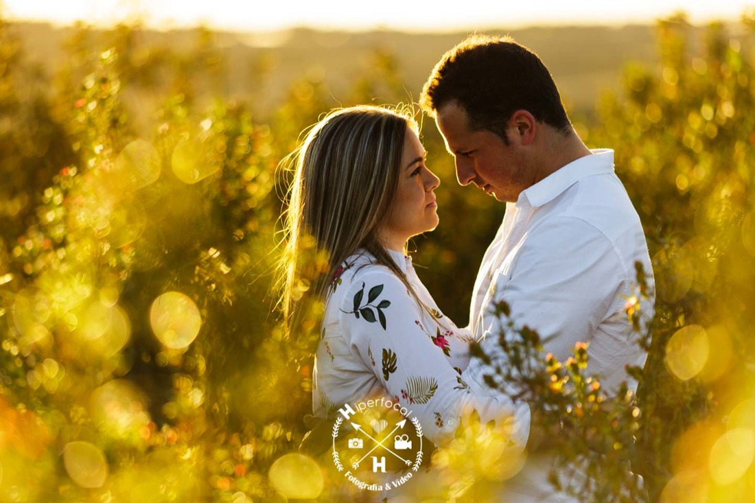 Preboda - oliva - frontera - kiko - pepi 15