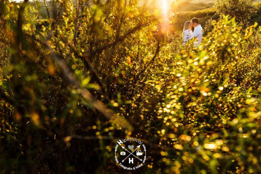 Preboda - oliva - frontera - kiko - pepi 18