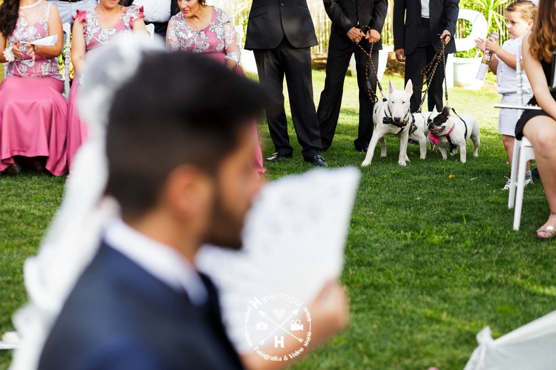 boda-almendralejo-pedro-cristina (34)