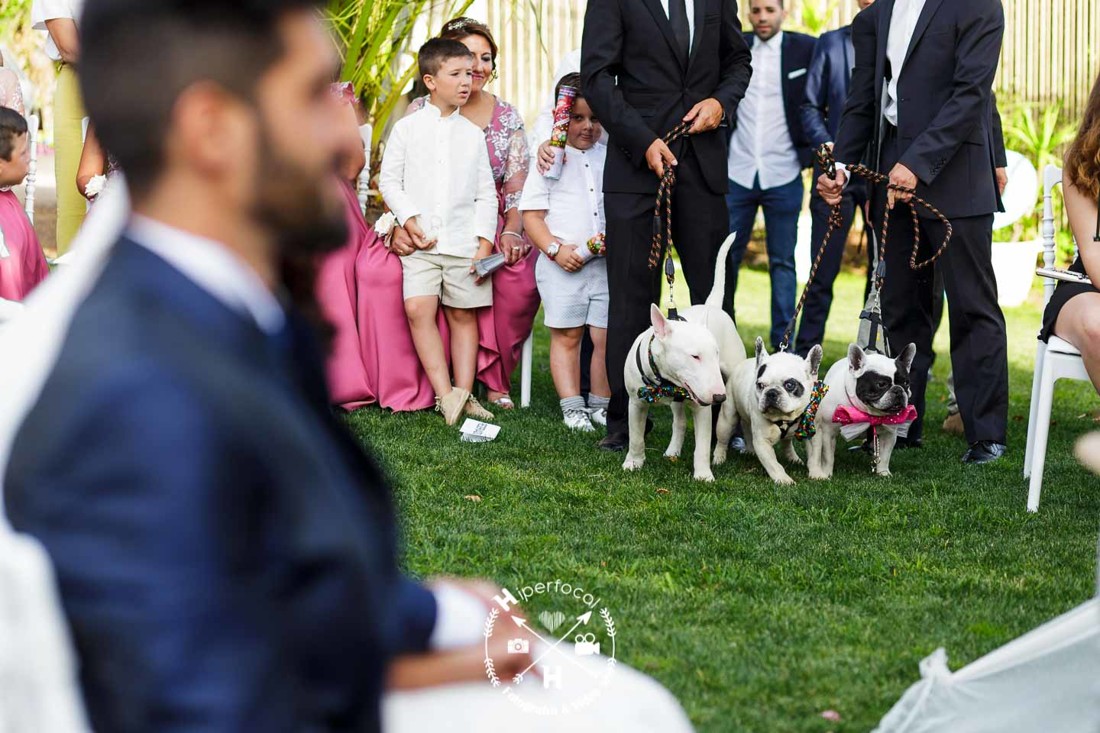 boda-almendralejo-pedro-cristina (36)