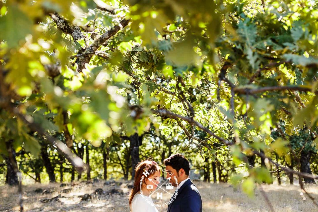 posboda-vera-gonzalo-gloria 10