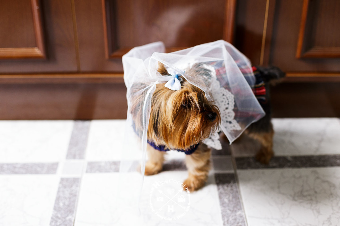 boda - aguasanta - juna - luis - rosalia (5)