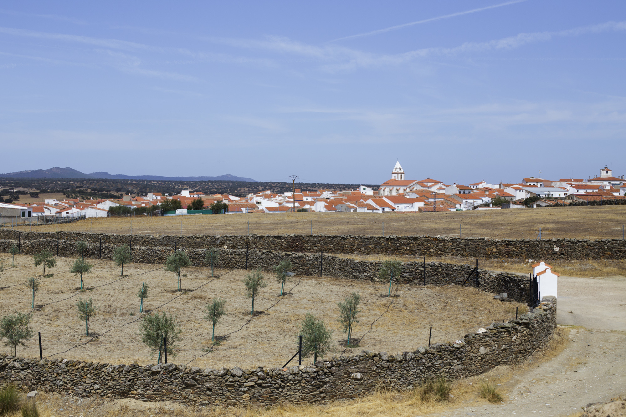 boda-miguel-maria-castillo-piedrabuena (1)