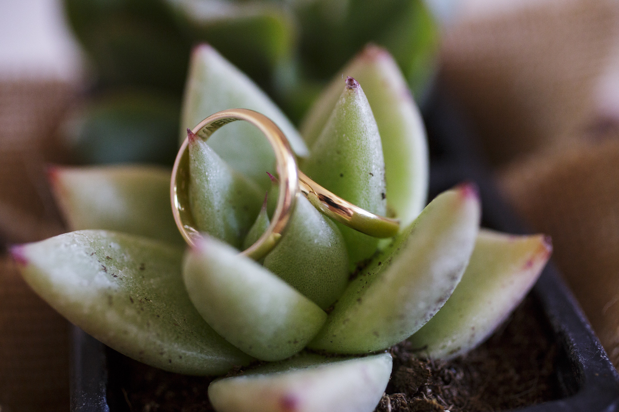 boda-david-lorena-salones-sheila (17)