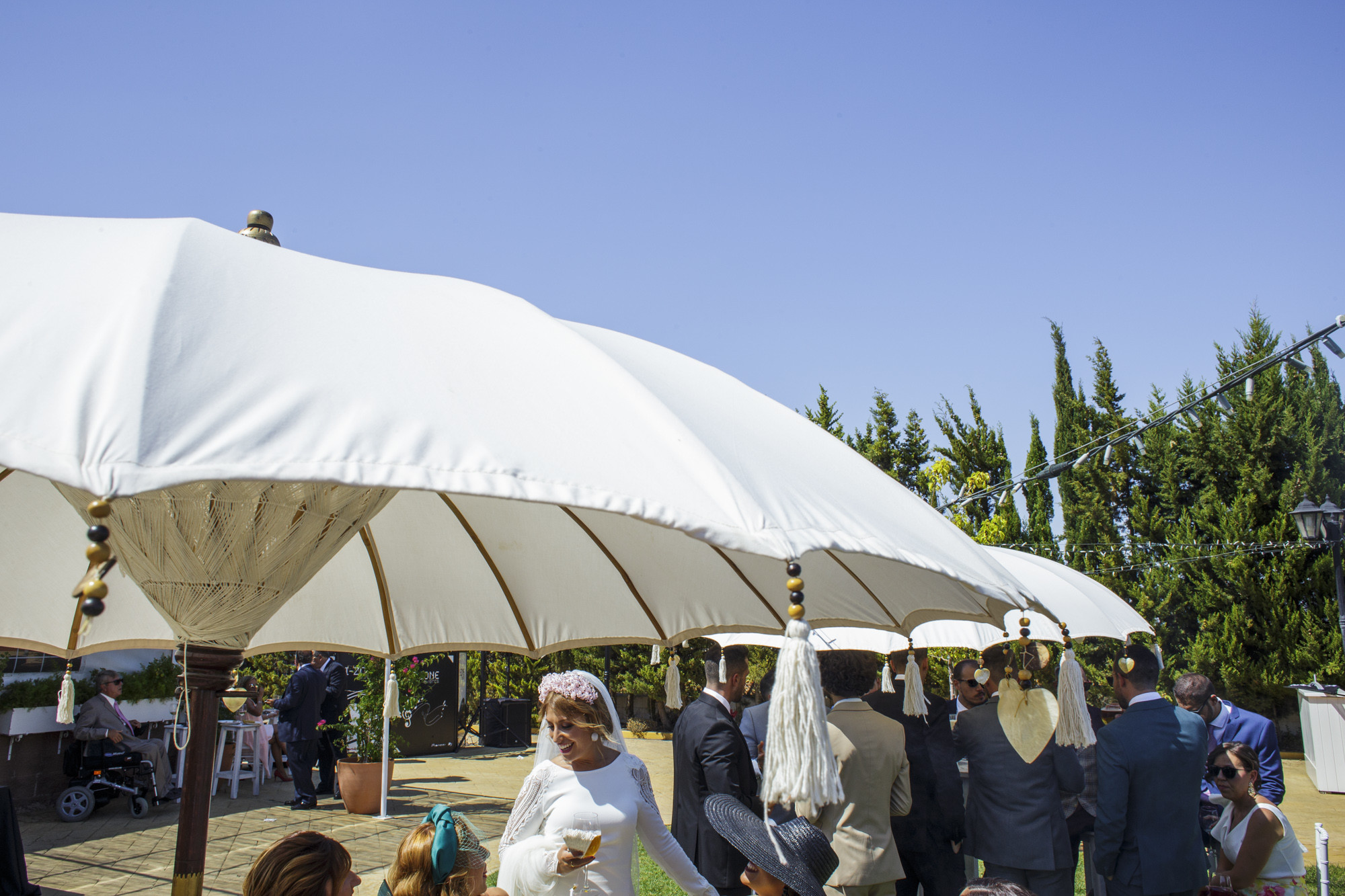 boda-david-lorena-salones-sheila (65)