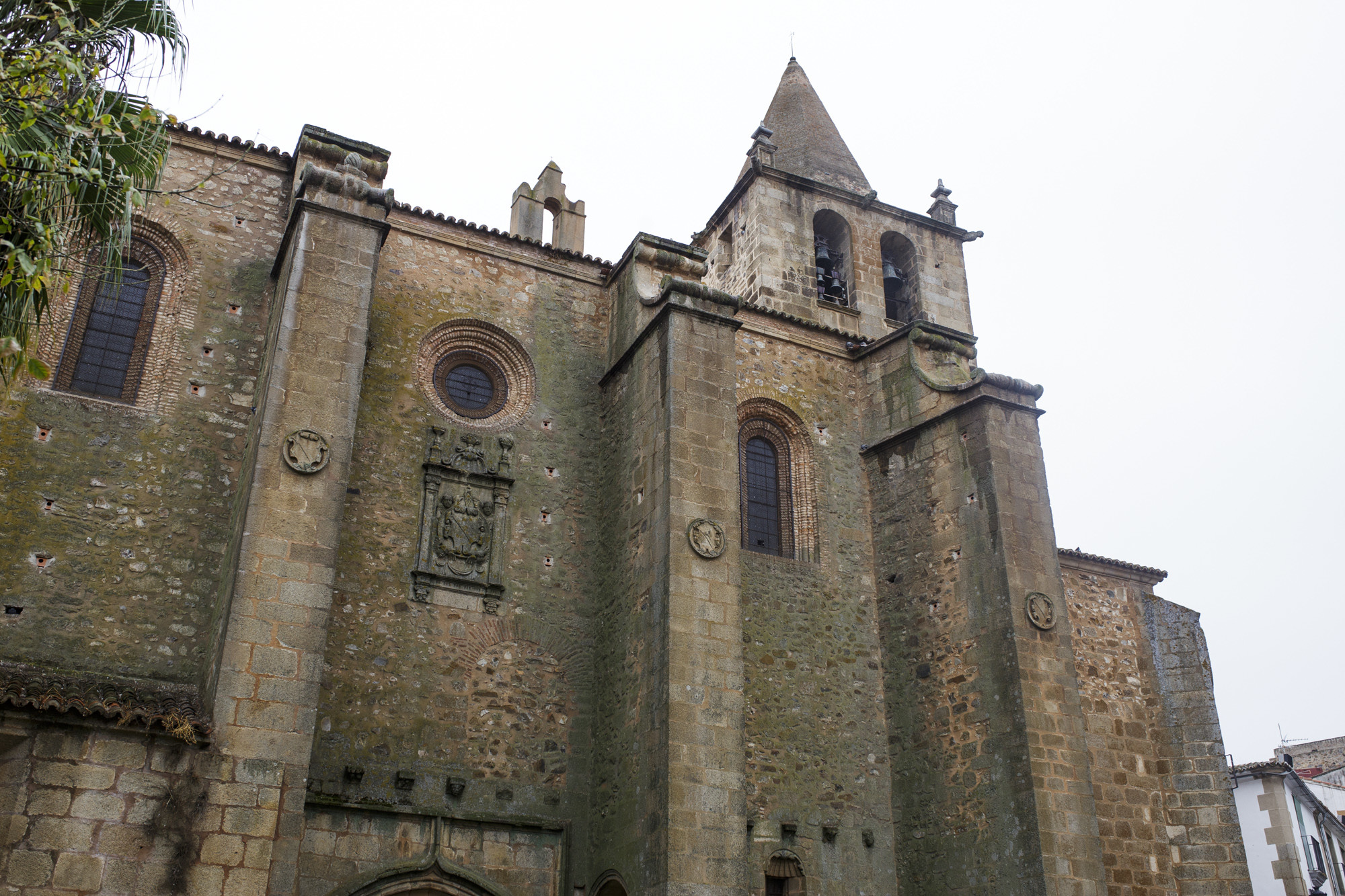 Moncho-leticia-tuareg (32)