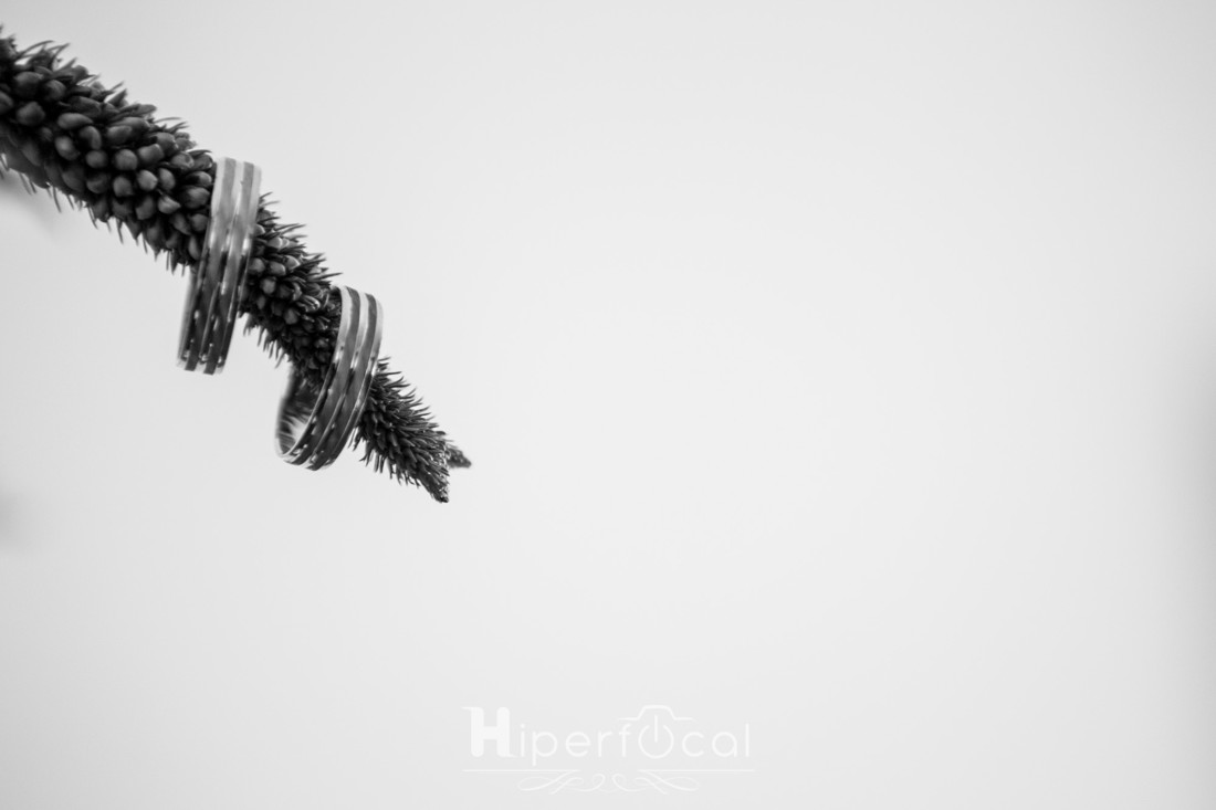 boda-almendralejo-maria-antonio-hiperfocal-extremadura-18