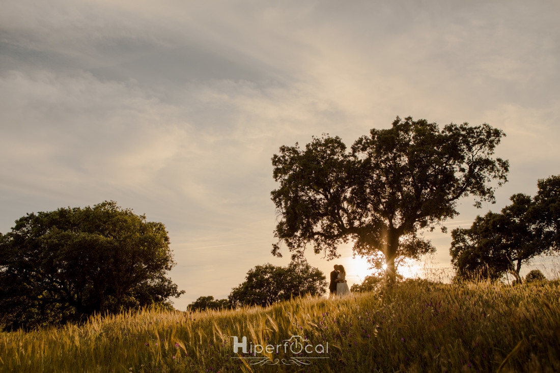 Posboda-pantano-villalba-hiperfocal-fotografia-Jesus-Beatriz (10)