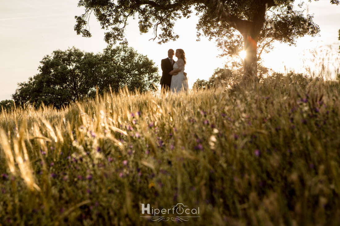 Posboda-pantano-villalba-hiperfocal-fotografia-Jesus-Beatriz (11)