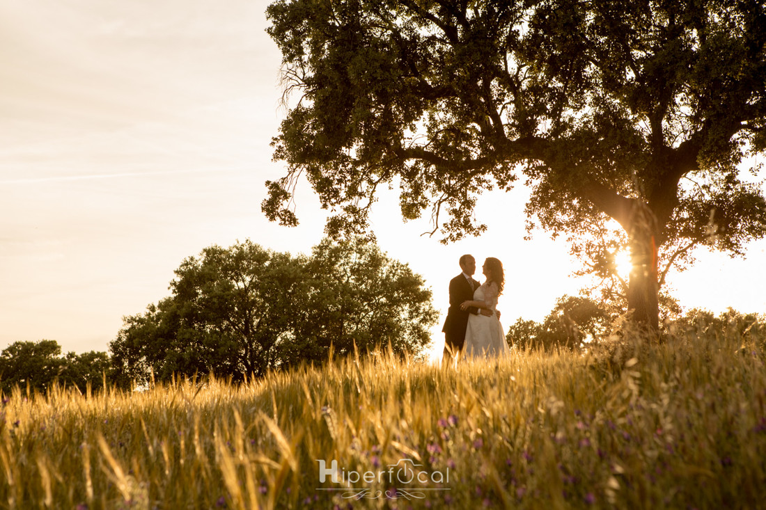Posboda-pantano-villalba-hiperfocal-fotografia-Jesus-Beatriz (9)
