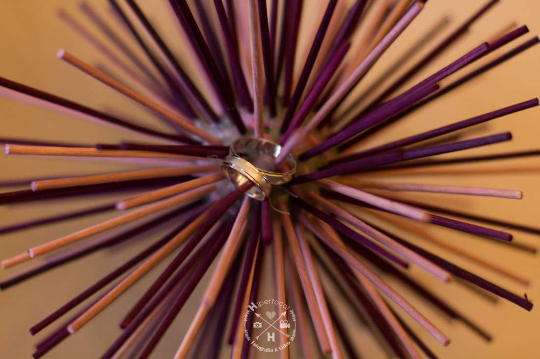 jony - lidia - boda - finca - albuera - hiperfocal (14)